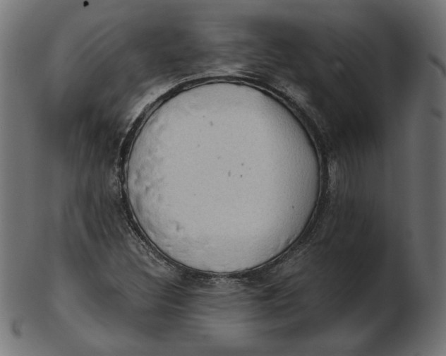 X0000103131308200809121723