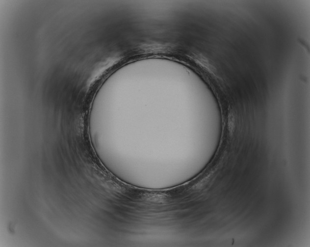 X0000103131309200809121723