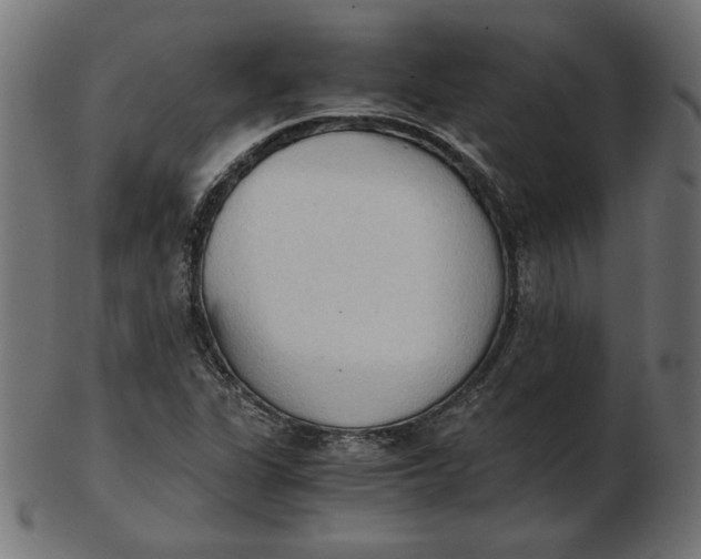 X0000103131311200809121723