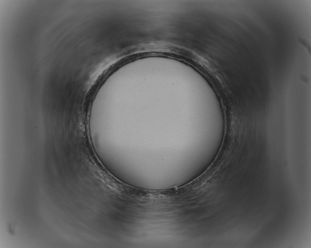 X0000103131312200809121723