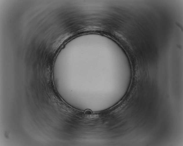 X0000103131313200809121723