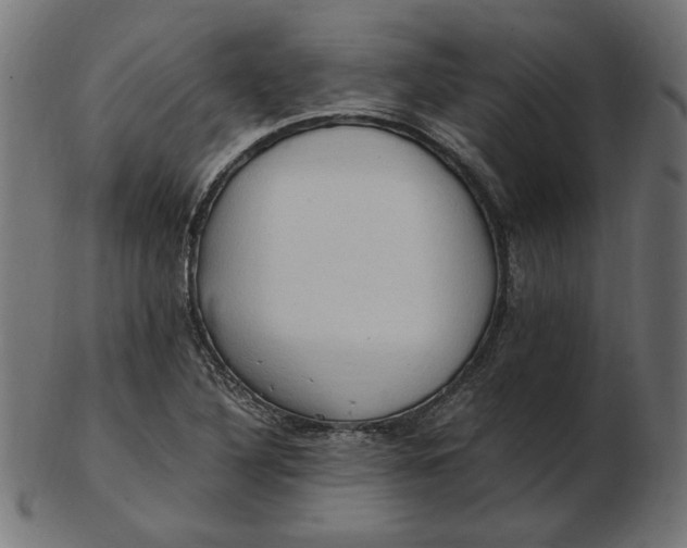 X0000103131316200809121723