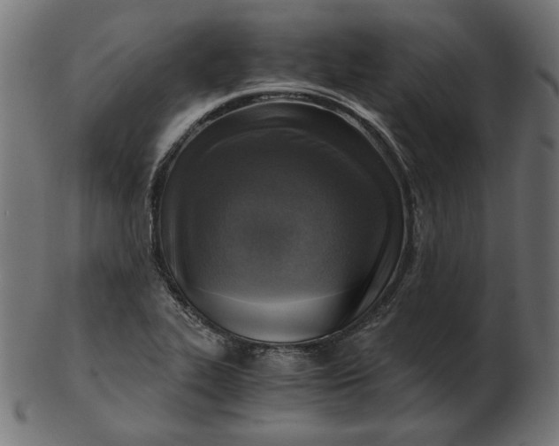 X0000103131319200809121723