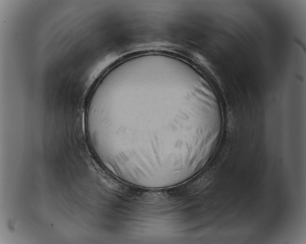 X0000103131320200809121723