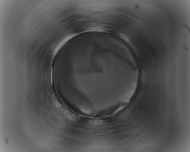 X0000103131323200809121723