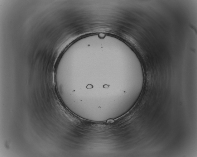 X0000103131324200809121723