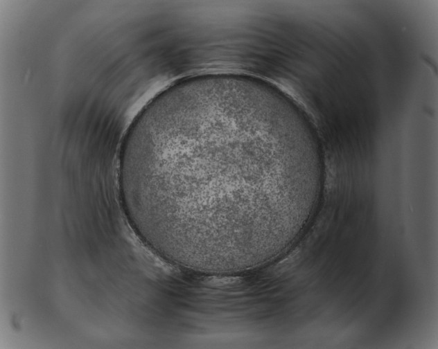 X0000103131325200809121723