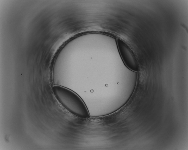 X0000103131326200809121723