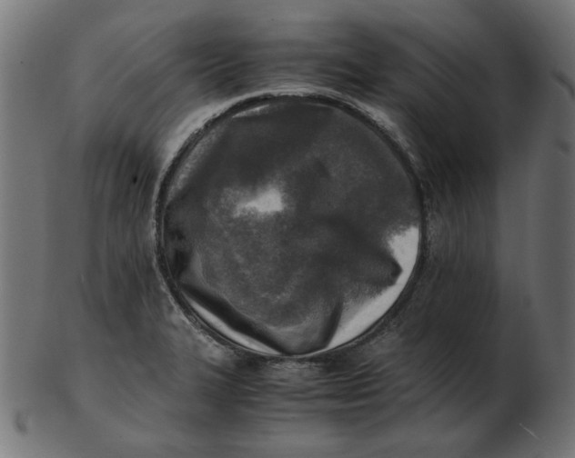 X0000103131327200809121723