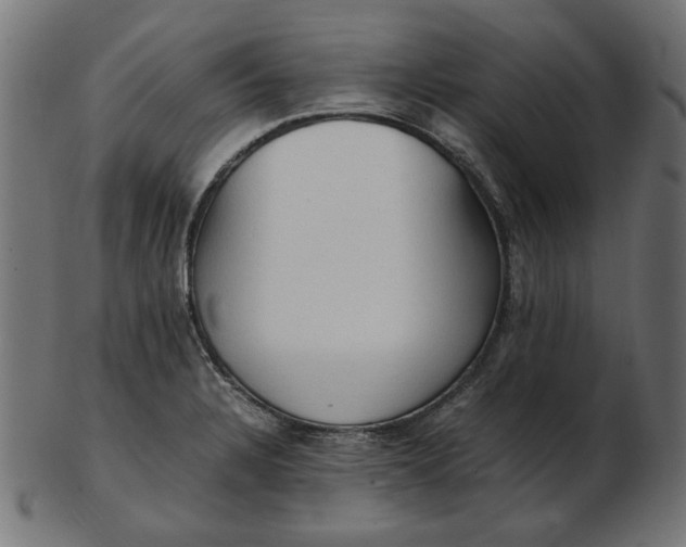 X0000103131328200809121723