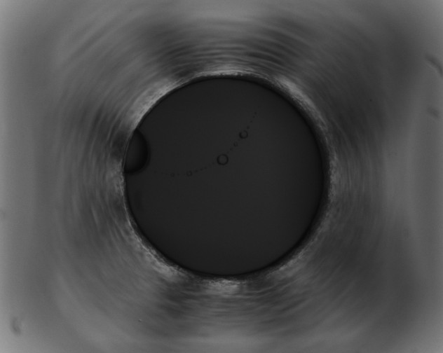 X0000103131329200809121723