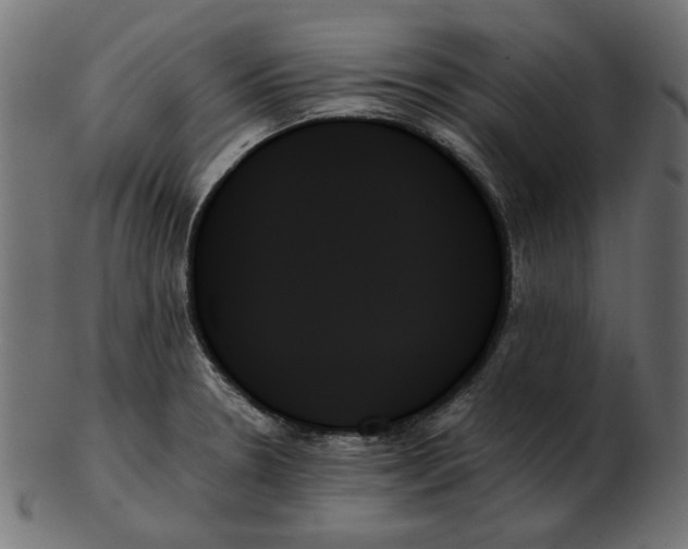 X0000103131330200809121723