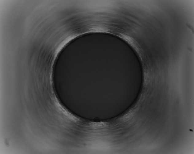 X0000103131331200809121723