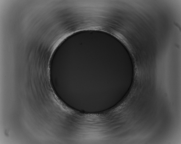 X0000103131332200809121723