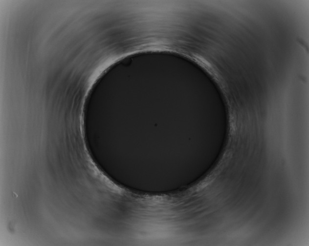 X0000103131334200809121723