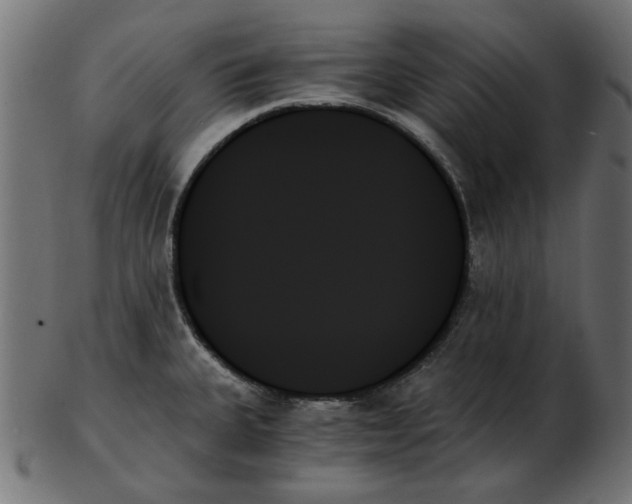 X0000103131335200809121723