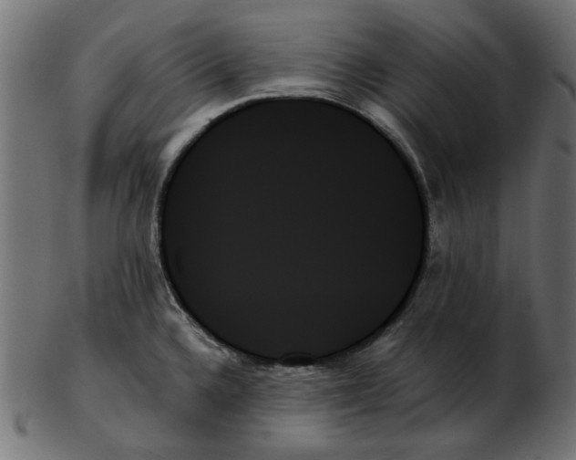 X0000103131336200809121723