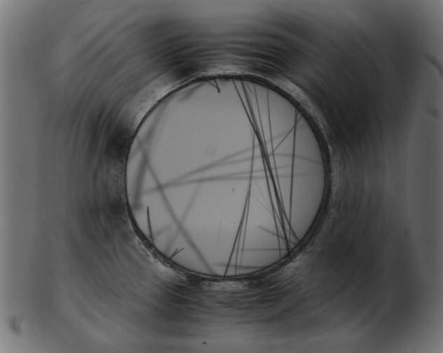 X0000103131337200809121723