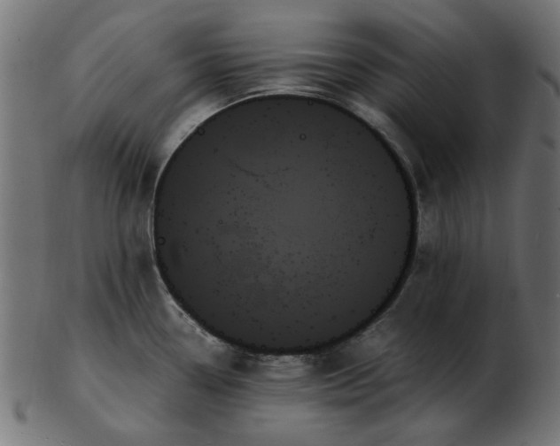 X0000103131338200809121723