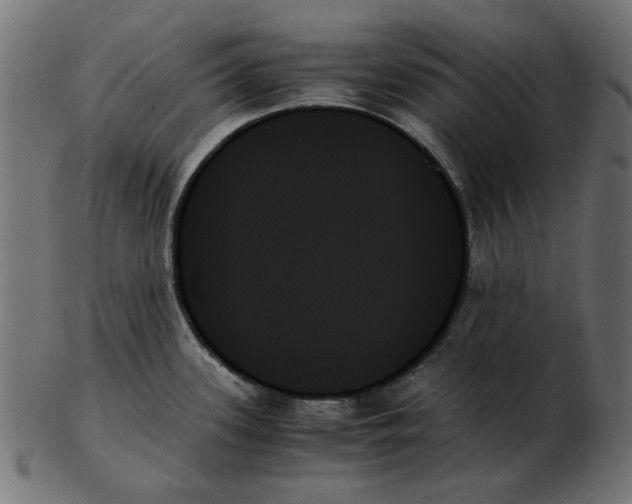 X0000103131339200809121723