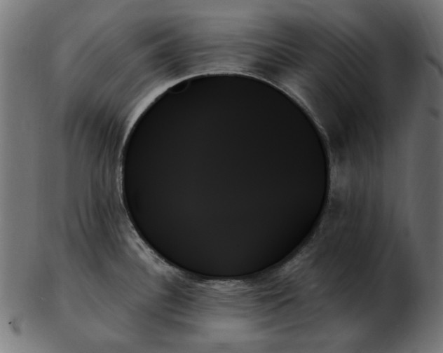 X0000103131340200809121723