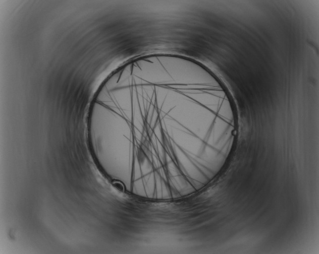 X0000103131341200809121723