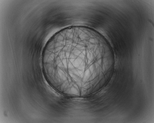 X0000103131342200809121723