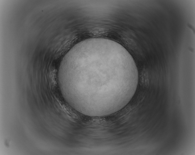 X0000103131346200809121723