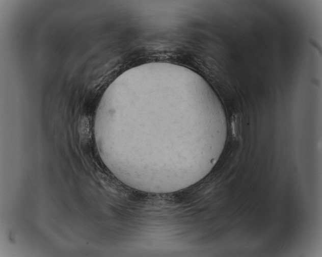 X0000103131347200809121722