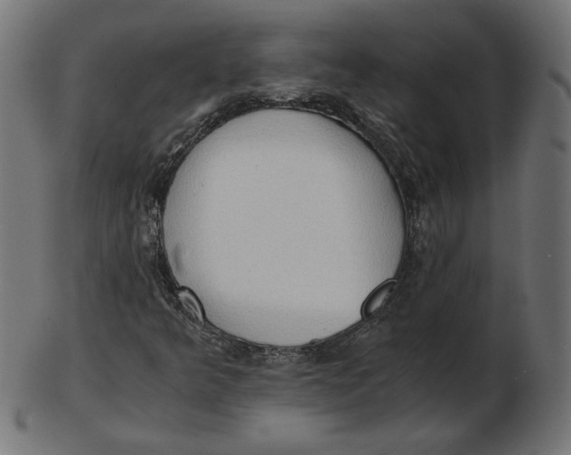 X0000103131349200809121722