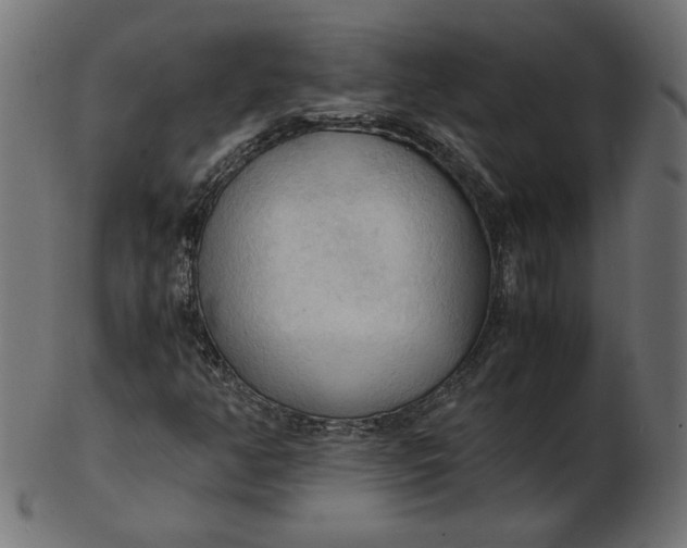 X0000103131350200809121722