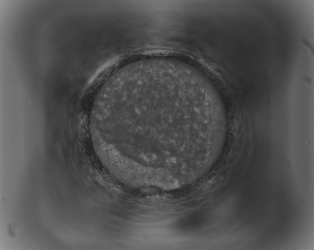 X0000103131351200809121722