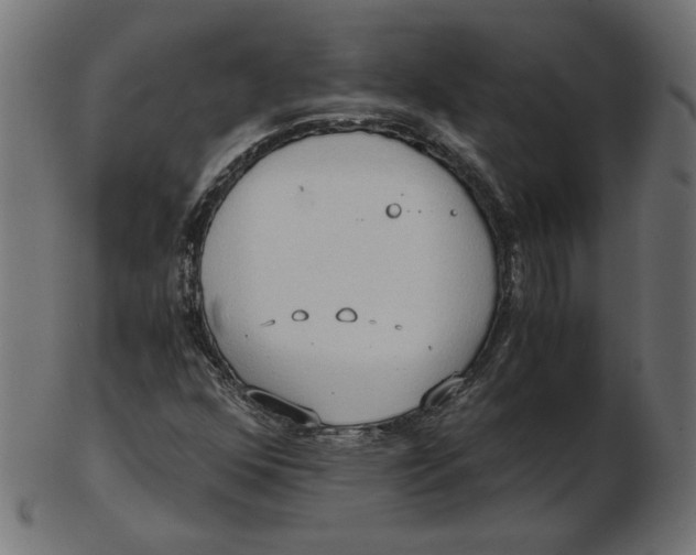 X0000103131352200809121722