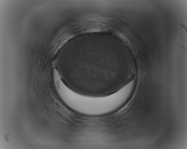 X0000103131353200809121722