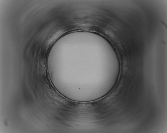 X0000103131354200809121722