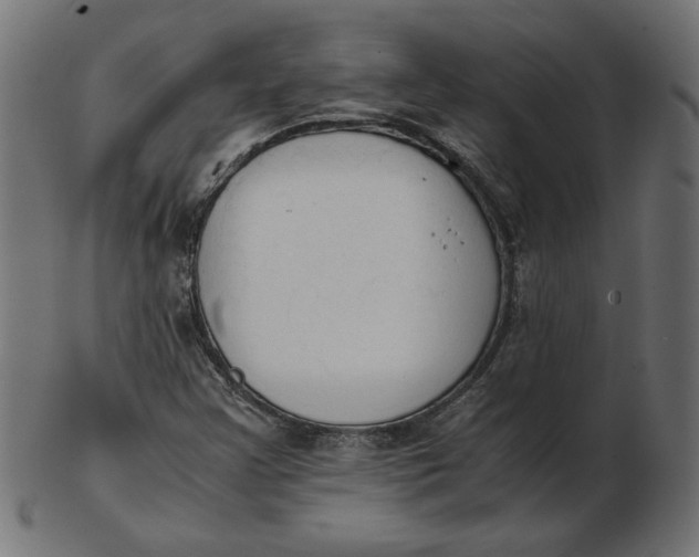 X0000103131355200809121722