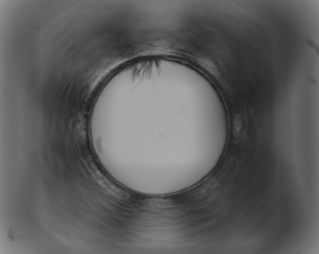 X0000103131356200809121722