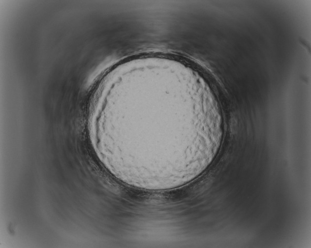 X0000103131359200809121722