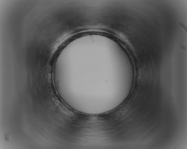 X0000103131360200809121722