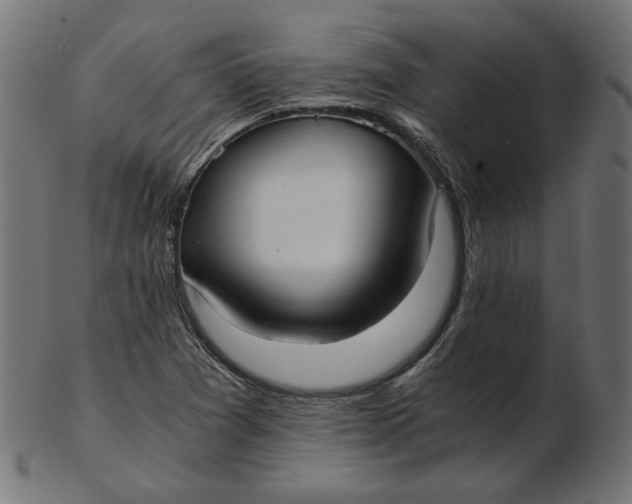 X0000103131361200809121722