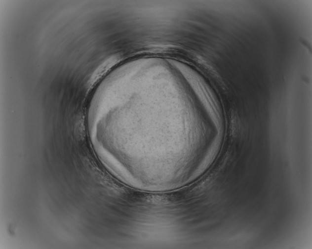 X0000103131362200809121722