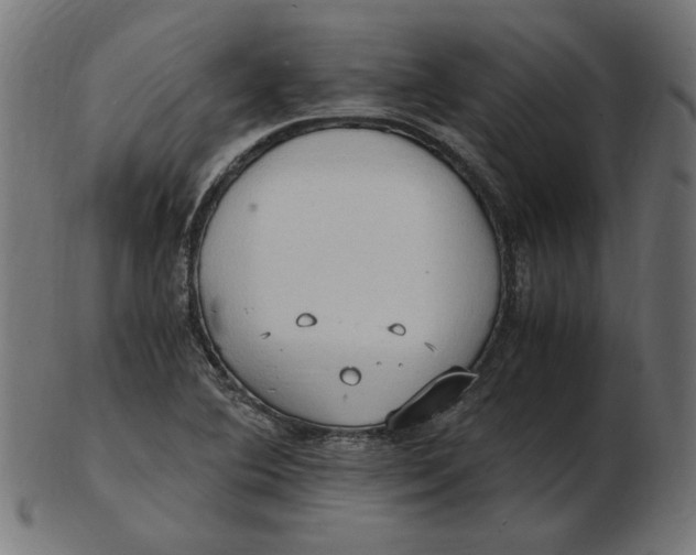 X0000103131364200809121722