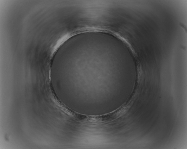 X0000103131365200809121722