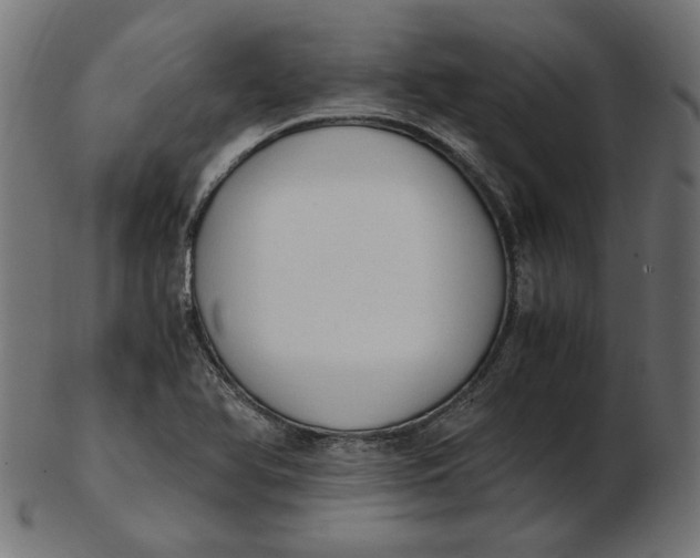X0000103131366200809121722