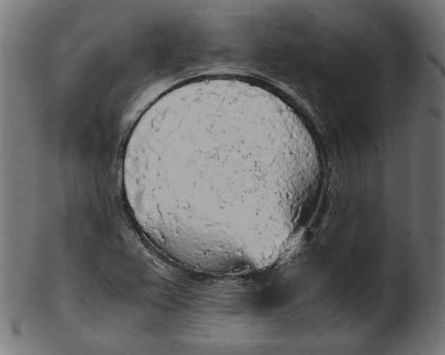X0000103131367200809121722