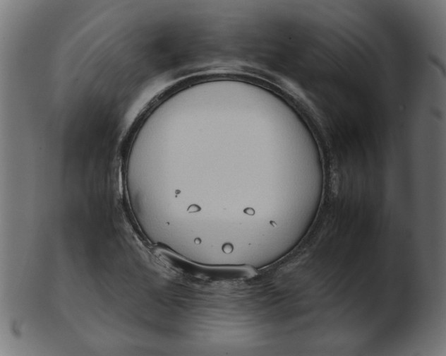 X0000103131368200809121722