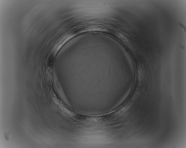 X0000103131369200809121722