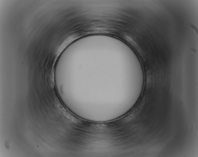 X0000103131370200809121722