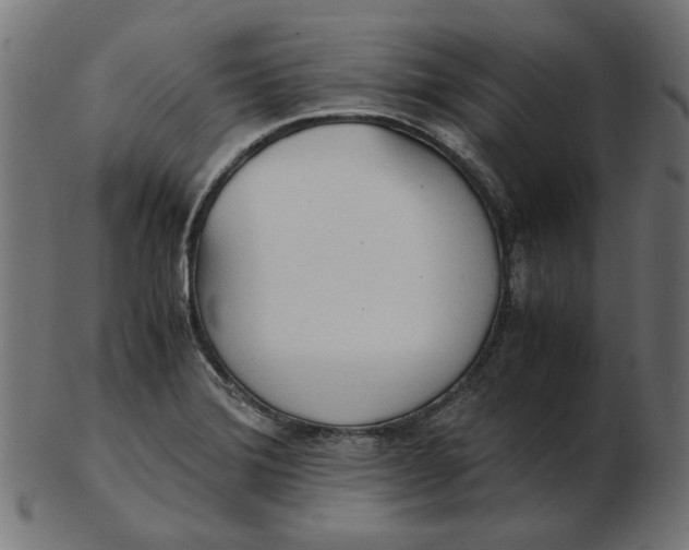 X0000103131372200809121722