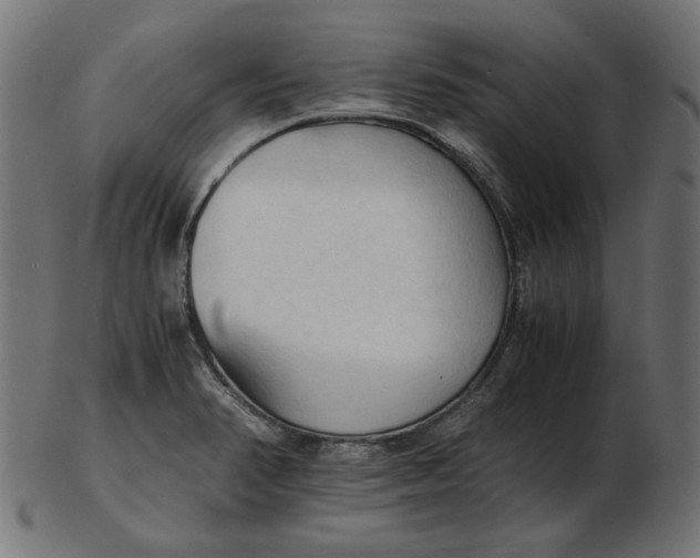 X0000103131374200809121722